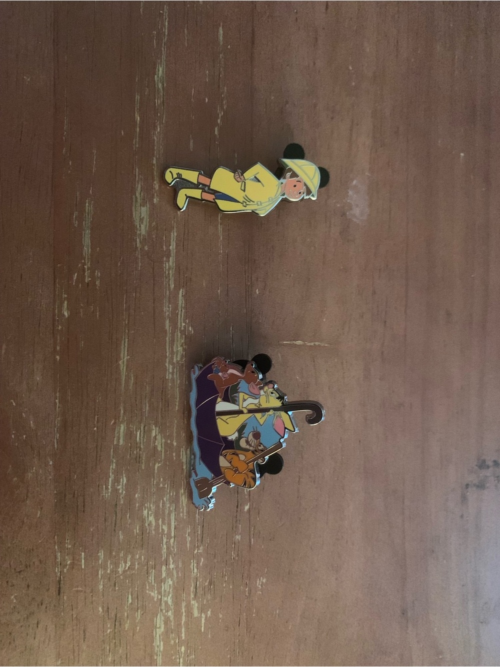 Disney Hundred Acre Woods friends